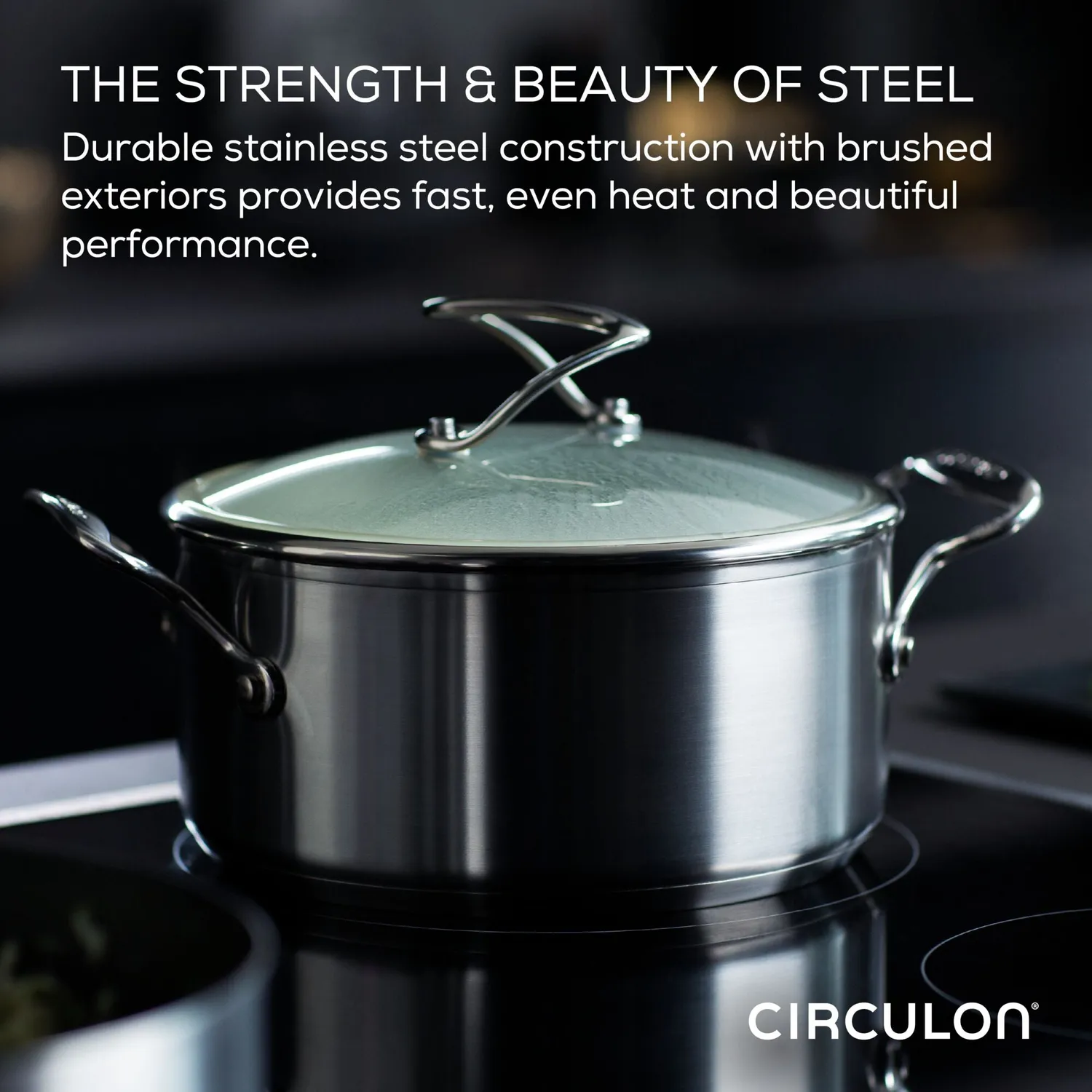Circulon SteelShield stekpannor 8+10,25 tum stål nonstick